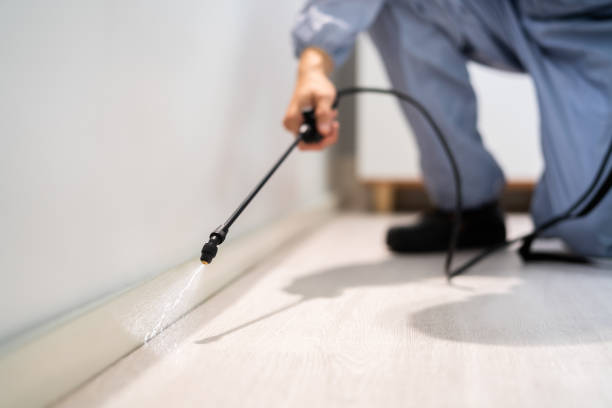 Certified termite inspector examining foundation in Kettle Falls