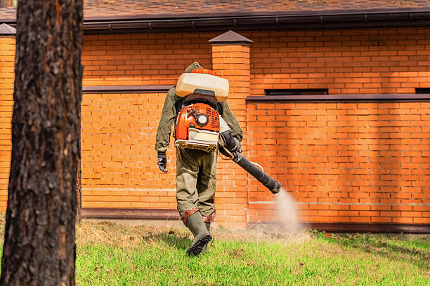 Bed Bug Clearance Verification and Documentation in Kettle Falls